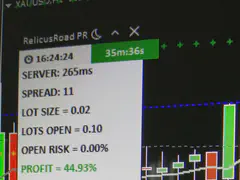 Member trade result shared in the RelicusRoad Discord