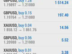 Member trade result shared in the RelicusRoad Discord