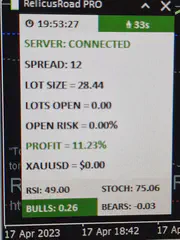 Member trade result shared in the RelicusRoad Discord