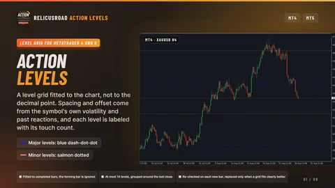 RelicusRoad Action Levels on a MetaTrader chart
